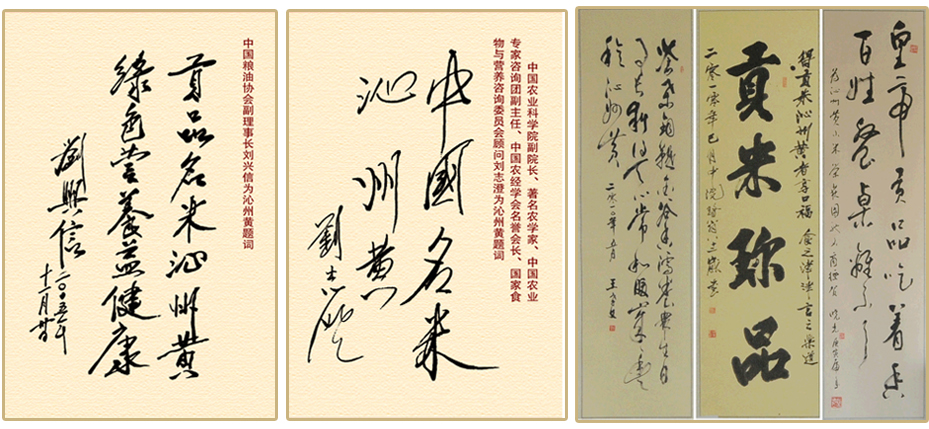 1458723298463300.png blob.png