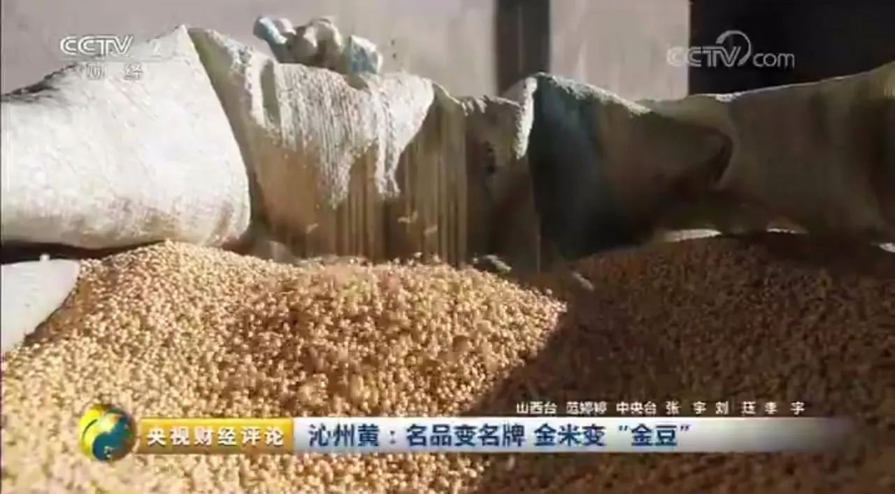 中央電視臺(tái)?走進(jìn)沁州牌沁州黃小米，“金豆子”如何煉成？