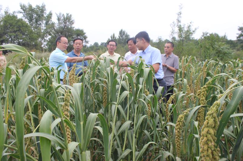 農(nóng)業(yè)部綠色、有機(jī)食品檢查組 蒞臨我公司檢查工作